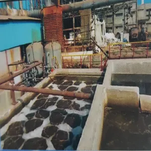 Aerobic Treatment, Activated Sludge Treatment Services