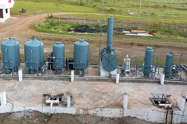 De Mineralize plants